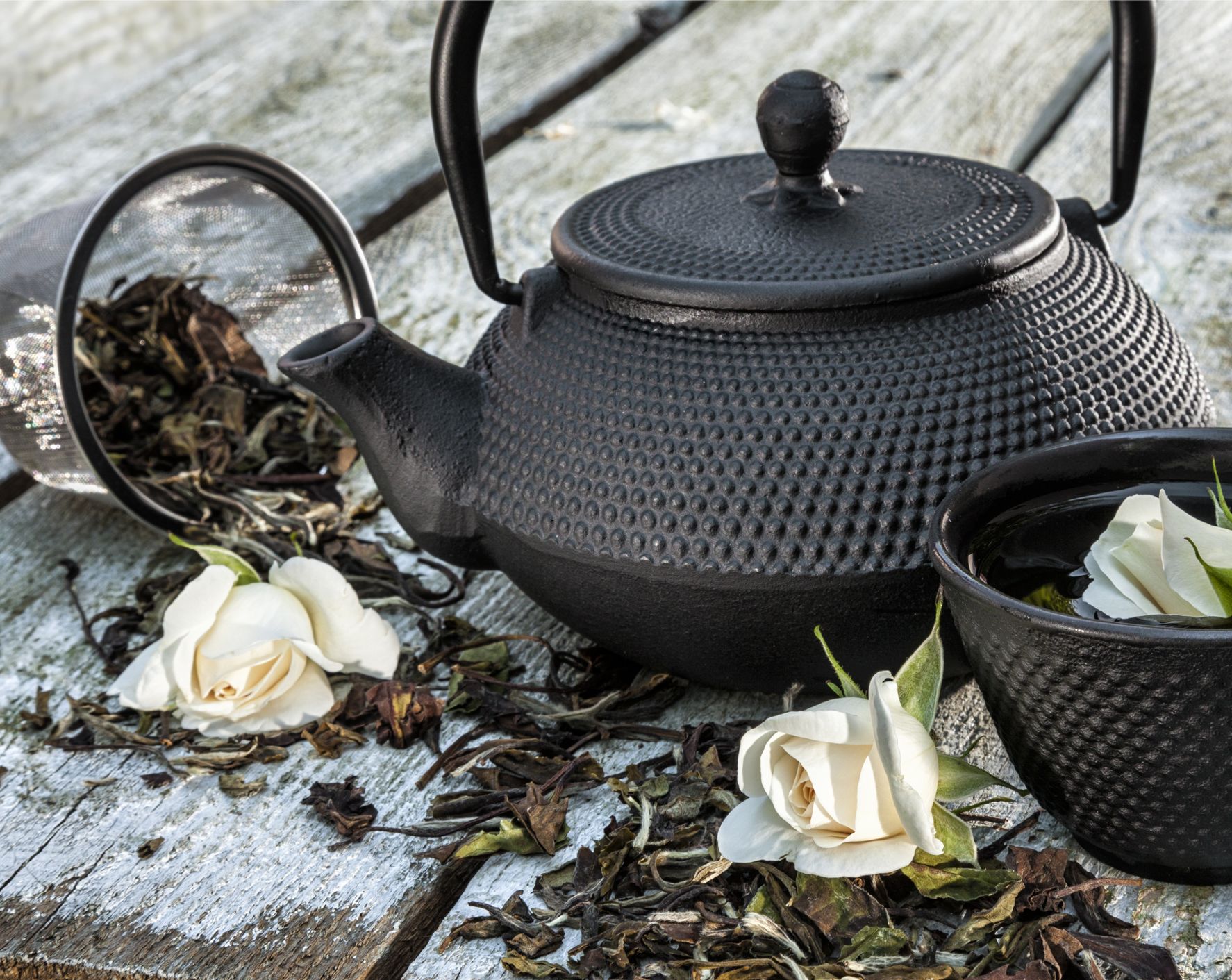 Cast Iron Teapot: Discover the Japanese Tetsubin